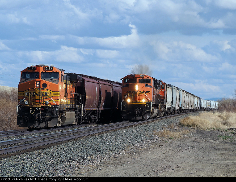 BNSF 8523
